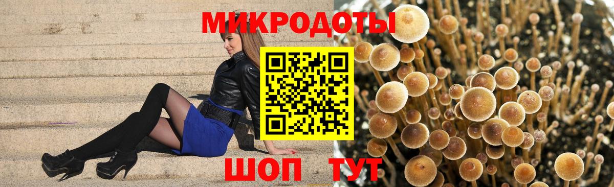Псилоцибиновые грибы ЛСД Елабуга