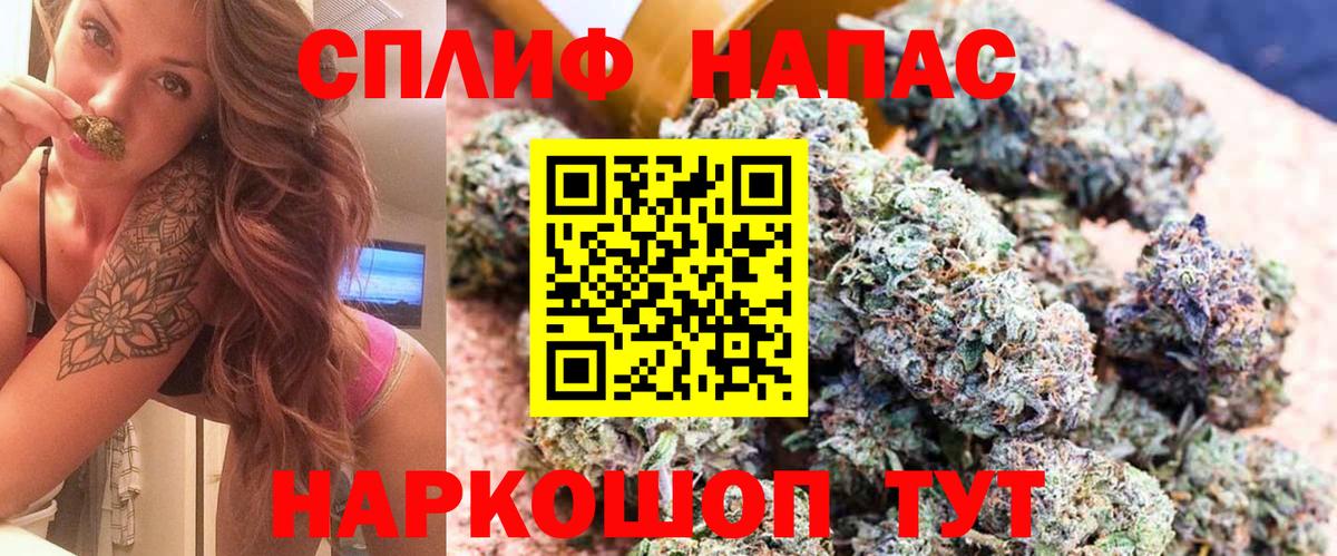 Конопля гибрид Елабуга